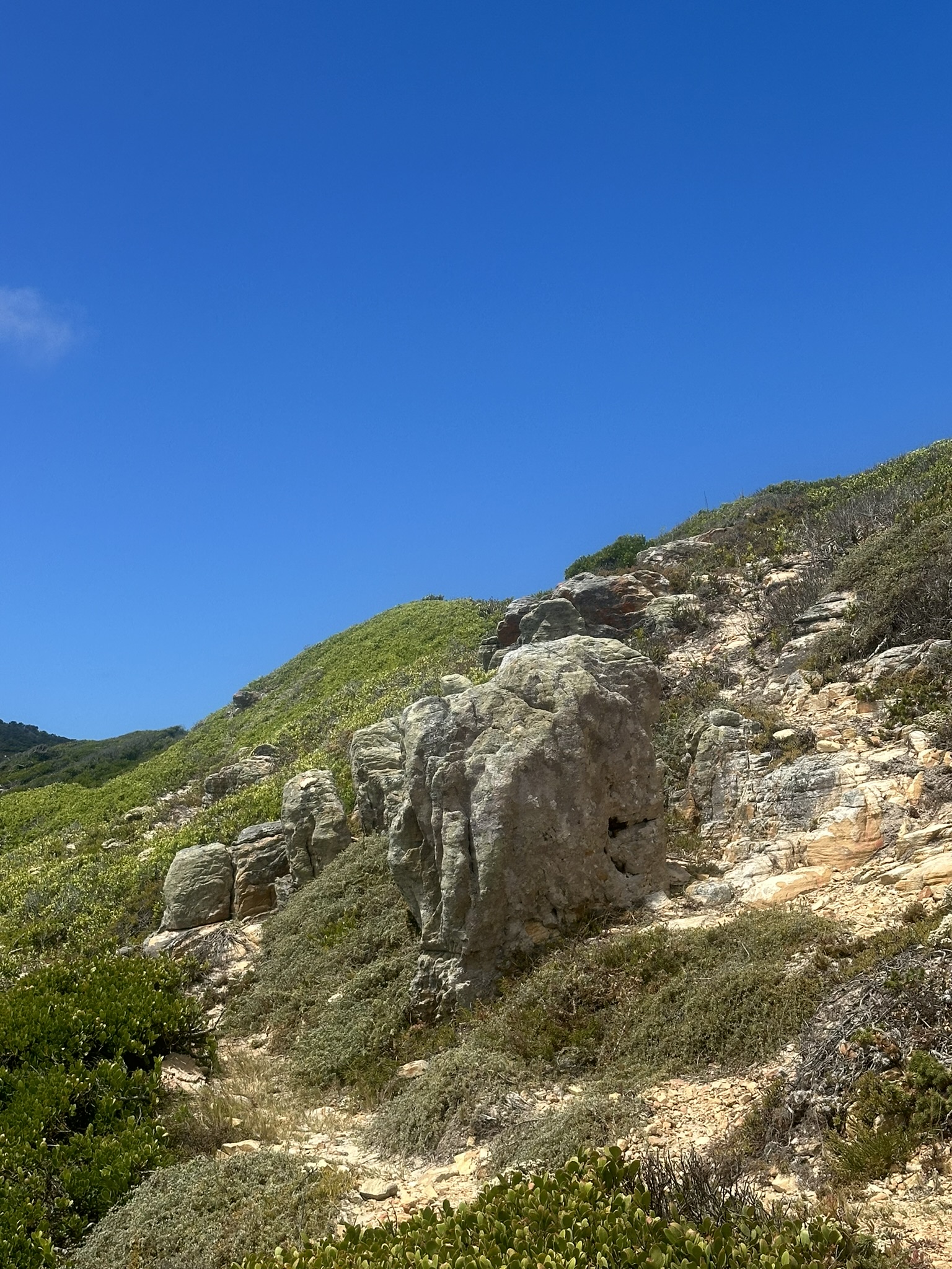 South Africa - Image 422